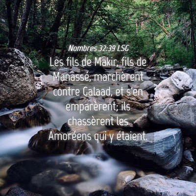Picture 04 - Nombres 32:39 LSG - Les fils de Makir, fils de Manassé, marchèrent - Bible Verse Picture
