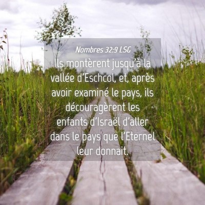 Picture 04 - Nombres 32:9 LSG - Ils montèrent jusqu'à la vallée d'Eschcol, et, - Bible Verse Picture