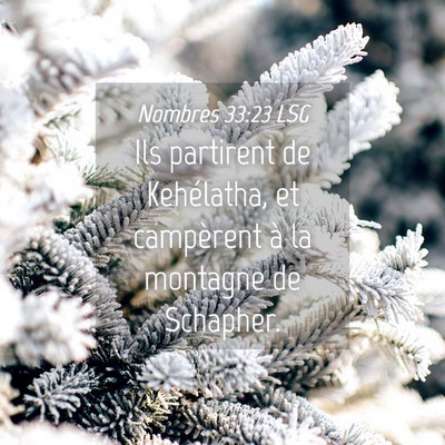 Picture 04 - Nombres 33:23 LSG - Ils partirent de Kehélatha, et campèrent à la - Bible Verse Picture