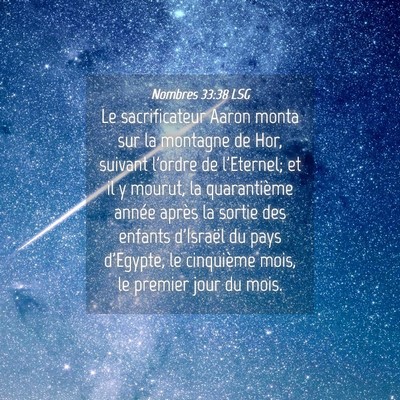 Picture 04 - Nombres 33:38 LSG - Le sacrificateur Aaron monta sur la montagne de - Bible Verse Picture