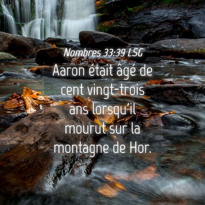 Picture 04 - Nombres 33:39 LSG - Aaron était âgé de cent vingt-trois ans - Bible Verse Picture
