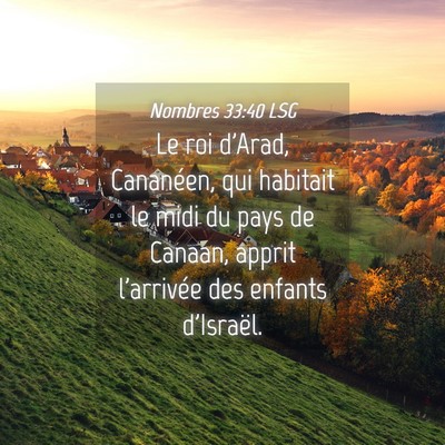 Picture 04 - Nombres 33:40 LSG - Le roi d'Arad, Cananéen, qui habitait le midi du - Bible Verse Picture