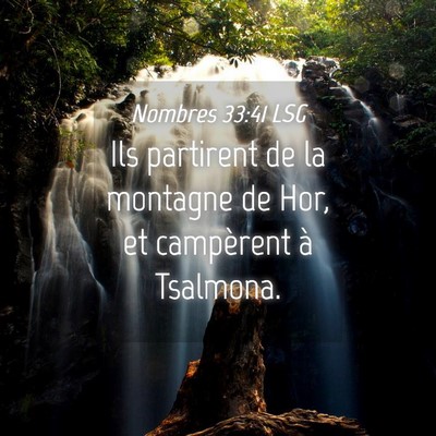Picture 04 - Nombres 33:41 LSG - Ils partirent de la montagne de Hor, et - Bible Verse Picture