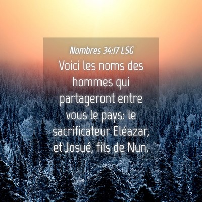 Picture 04 - Nombres 34:17 LSG - Voici les noms des hommes qui partageront entre - Bible Verse Picture