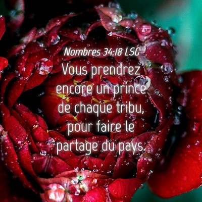 Picture 04 - Nombres 34:18 LSG - Vous prendrez encore un prince de chaque tribu, - Bible Verse Picture