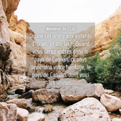 Picture 04 - Nombres 34:2 LSG - Donne cet ordre aux enfants d'Israël, et - Bible Verse Picture