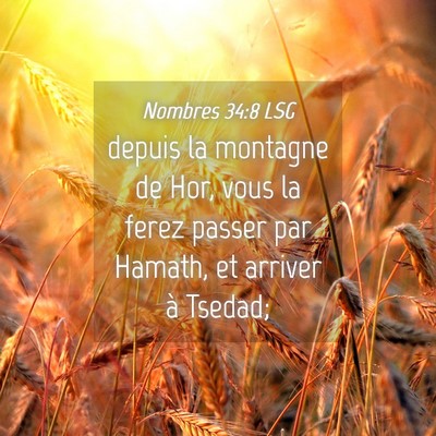 Picture 04 - Nombres 34:8 LSG - depuis la montagne de Hor, vous la ferez passer - Bible Verse Picture