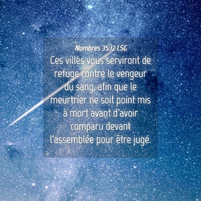 Picture 04 - Nombres 35:12 LSG - Ces villes vous serviront de refuge contre le - Bible Verse Picture