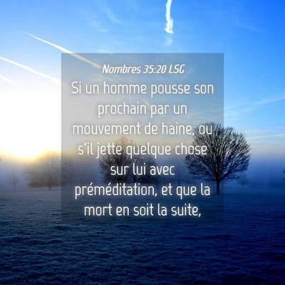 Picture 04 - Nombres 35:20 LSG - Si un homme pousse son prochain par un mouvement - Bible Verse Picture