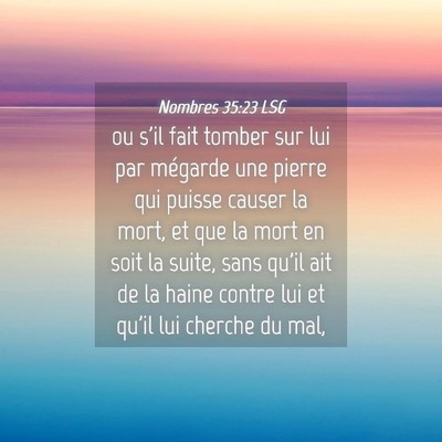 Picture 04 - Nombres 35:23 LSG - ou s'il fait tomber sur lui par mégarde une - Bible Verse Picture