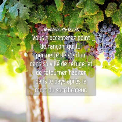 Picture 04 - Nombres 35:32 LSG - Vous n'accepterez point de rançon, qui lui - Bible Verse Picture