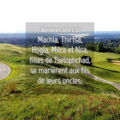 Picture 04 - Nombres 36:11 LSG - Machla, Thirtsa, Hogla, Milca et Noa, filles de - Bible Verse Picture