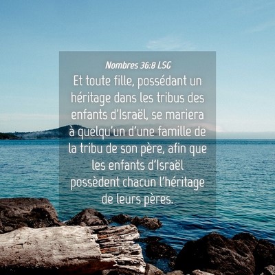 Picture 04 - Nombres 36:8 LSG - Et toute fille, possédant un héritage dans les - Bible Verse Picture