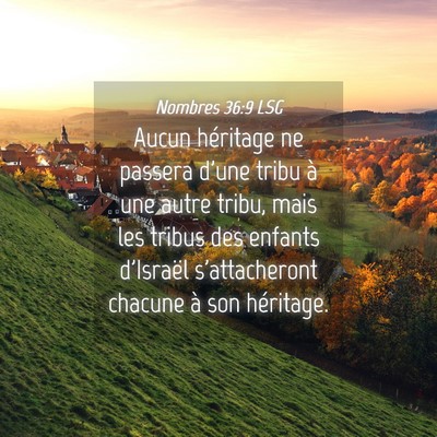 Picture 04 - Nombres 36:9 LSG - Aucun héritage ne passera d'une tribu à une - Bible Verse Picture