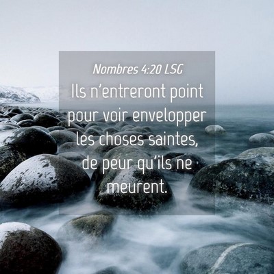 Picture 04 - Nombres 4:20 LSG - Ils n'entreront point pour voir envelopper les - Bible Verse Picture