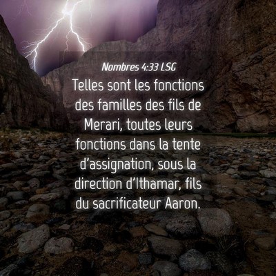 Picture 04 - Nombres 4:33 LSG - Telles sont les fonctions des familles des fils - Bible Verse Picture