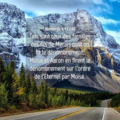 Picture 04 - Nombres 4:45 LSG - Tels sont ceux des familles des fils de Merari - Bible Verse Picture