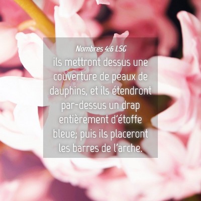 Picture 04 - Nombres 4:6 LSG - ils mettront dessus une couverture de peaux de - Bible Verse Picture