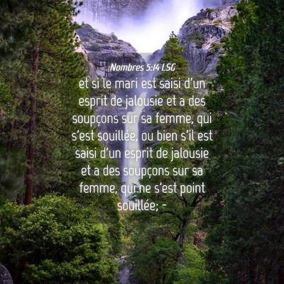 Picture 04 - Nombres 5:14 LSG - et si le mari est saisi d'un esprit de jalousie - Bible Verse Picture