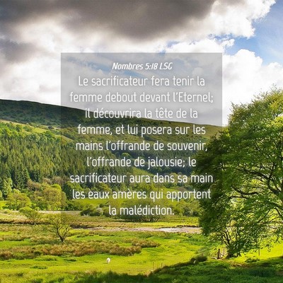 Picture 04 - Nombres 5:18 LSG - Le sacrificateur fera tenir la femme debout - Bible Verse Picture