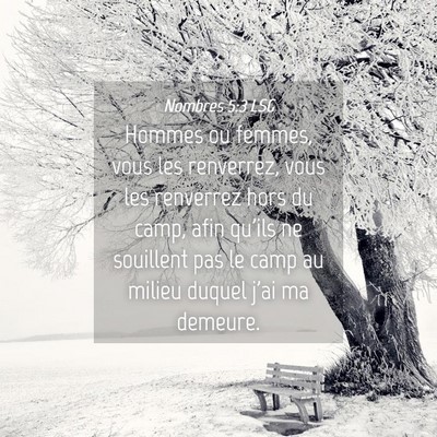 Picture 04 - Nombres 5:3 LSG - Hommes ou femmes, vous les renverrez, vous les - Bible Verse Picture