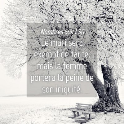 Picture 04 - Nombres 5:31 LSG - Le mari sera exempt de faute, mais la femme - Bible Verse Picture