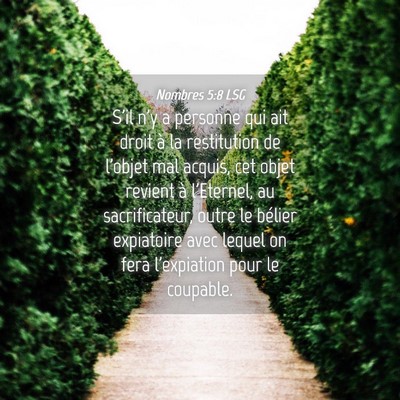 Picture 04 - Nombres 5:8 LSG - S'il n'y a personne qui ait droit à la - Bible Verse Picture