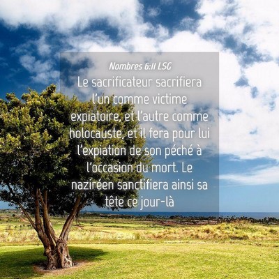 Picture 04 - Nombres 6:11 LSG - Le sacrificateur sacrifiera l'un comme victime - Bible Verse Picture