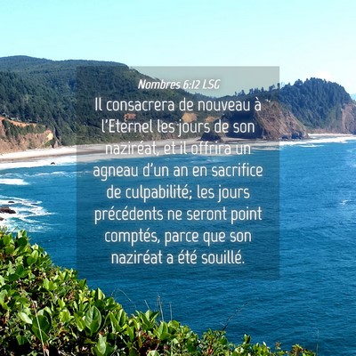 Picture 04 - Nombres 6:12 LSG - Il consacrera de nouveau à l'Eternel les jours - Bible Verse Picture