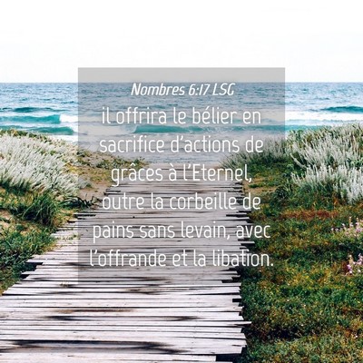 Picture 04 - Nombres 6:17 LSG - il offrira le bélier en sacrifice d'actions de - Bible Verse Picture