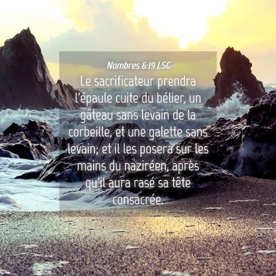 Picture 04 - Nombres 6:19 LSG - Le sacrificateur prendra l'épaule cuite du - Bible Verse Picture