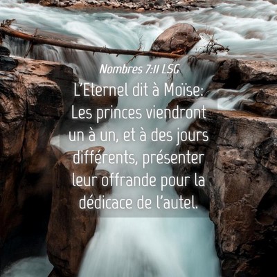 Picture 04 - Nombres 7:11 LSG - L'Eternel dit à Moïse: Les princes viendront un - Bible Verse Picture