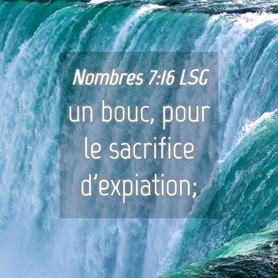 Picture 04 - Nombres 7:16 LSG - un bouc, pour le sacrifice - Bible Verse Picture