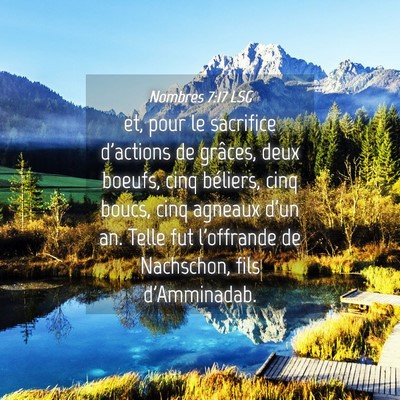 Picture 04 - Nombres 7:17 LSG - et, pour le sacrifice d'actions de grâces, deux - Bible Verse Picture