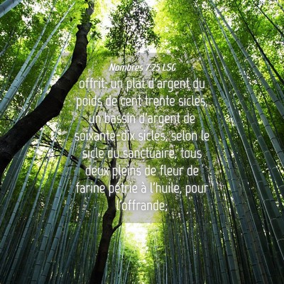 Picture 04 - Nombres 7:25 LSG - offrit: un plat d'argent du poids de cent trente - Bible Verse Picture
