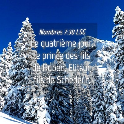 Picture 04 - Nombres 7:30 LSG - Le quatrième jour, le prince des fils de Ruben, - Bible Verse Picture