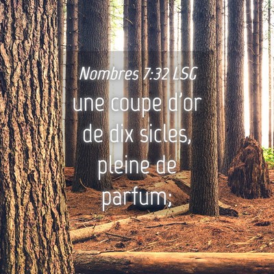 Picture 04 - Nombres 7:32 LSG - une coupe d'or de dix sicles, pleine de - Bible Verse Picture