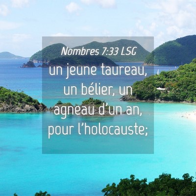 Picture 04 - Nombres 7:33 LSG - un jeune taureau, un bélier, un agneau d'un an, - Bible Verse Picture