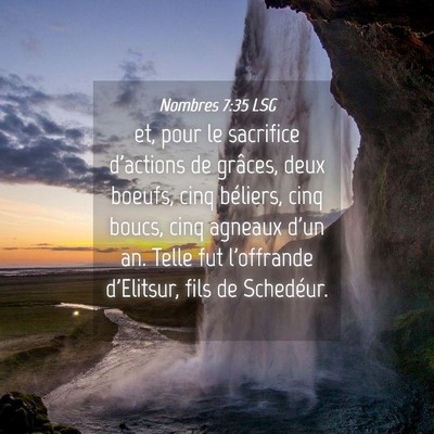 Picture 04 - Nombres 7:35 LSG - et, pour le sacrifice d'actions de grâces, deux - Bible Verse Picture