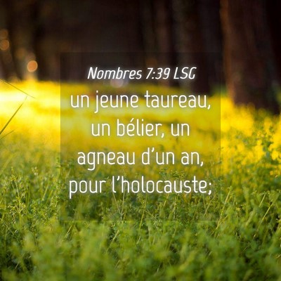 Picture 04 - Nombres 7:39 LSG - un jeune taureau, un bélier, un agneau d'un an, - Bible Verse Picture