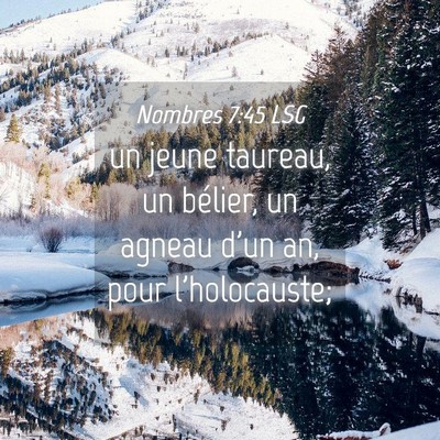 Picture 04 - Nombres 7:45 LSG - un jeune taureau, un bélier, un agneau d'un an, - Bible Verse Picture