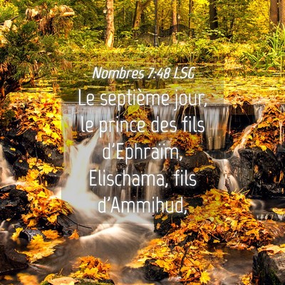 Picture 04 - Nombres 7:48 LSG - Le septième jour, le prince des fils d'Ephraïm, - Bible Verse Picture