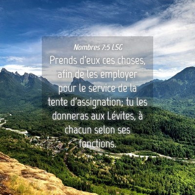 Picture 04 - Nombres 7:5 LSG - Prends d'eux ces choses, afin de les employer - Bible Verse Picture