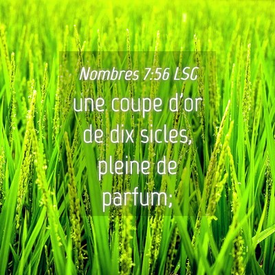Picture 04 - Nombres 7:56 LSG - une coupe d'or de dix sicles, pleine de - Bible Verse Picture