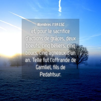 Picture 04 - Nombres 7:59 LSG - et, pour le sacrifice d'actions de grâces, deux - Bible Verse Picture
