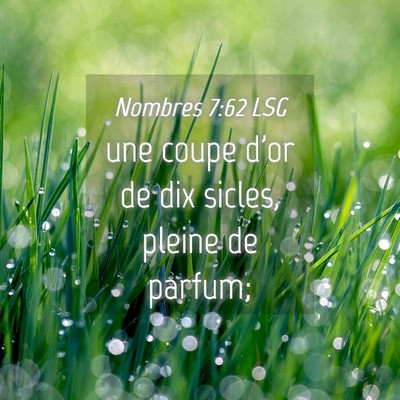 Picture 04 - Nombres 7:62 LSG - une coupe d'or de dix sicles, pleine de - Bible Verse Picture