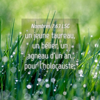 Picture 04 - Nombres 7:63 LSG - un jeune taureau, un bélier, un agneau d'un an, - Bible Verse Picture