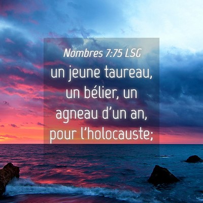 Picture 04 - Nombres 7:75 LSG - un jeune taureau, un bélier, un agneau d'un an, - Bible Verse Picture