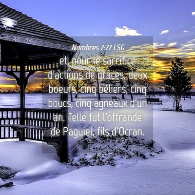 Picture 04 - Nombres 7:77 LSG - et, pour le sacrifice d'actions de grâces, deux - Bible Verse Picture