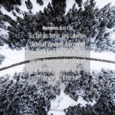Picture 04 - Nombres 8:13 LSG - Tu feras tenir les Lévites debout devant Aaron - Bible Verse Picture